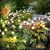 2 Pack 10LED Solar Garden Lights Outdoor Decorative Firefly Light Solar Powered Waterproof for Yard Pathway Flower Landscape